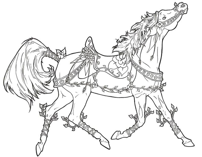 horse coloring pages on pintrest