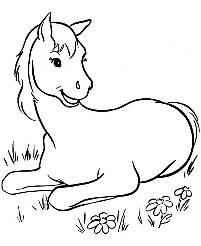 horse coloring pages printable