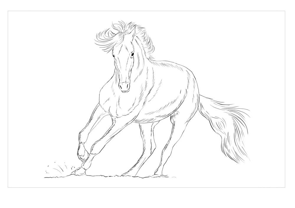 Horse Coloring Pages Real