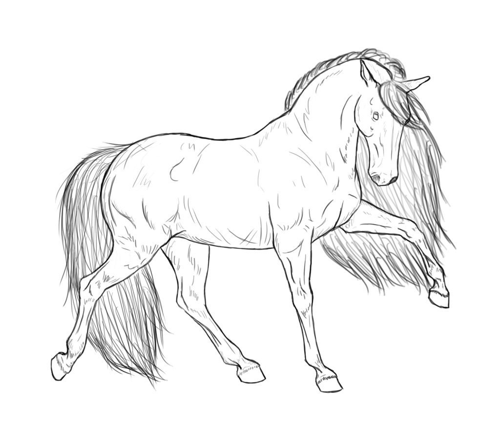 horse coloring pages realilistic