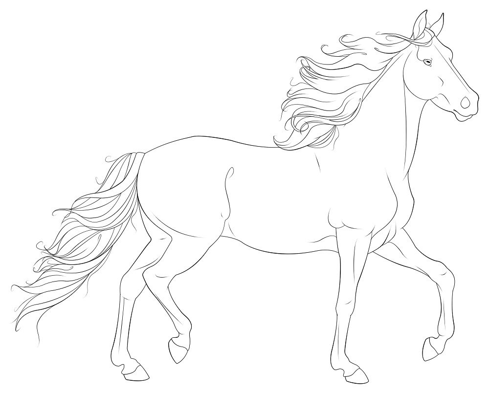 horse coloring pages realistic