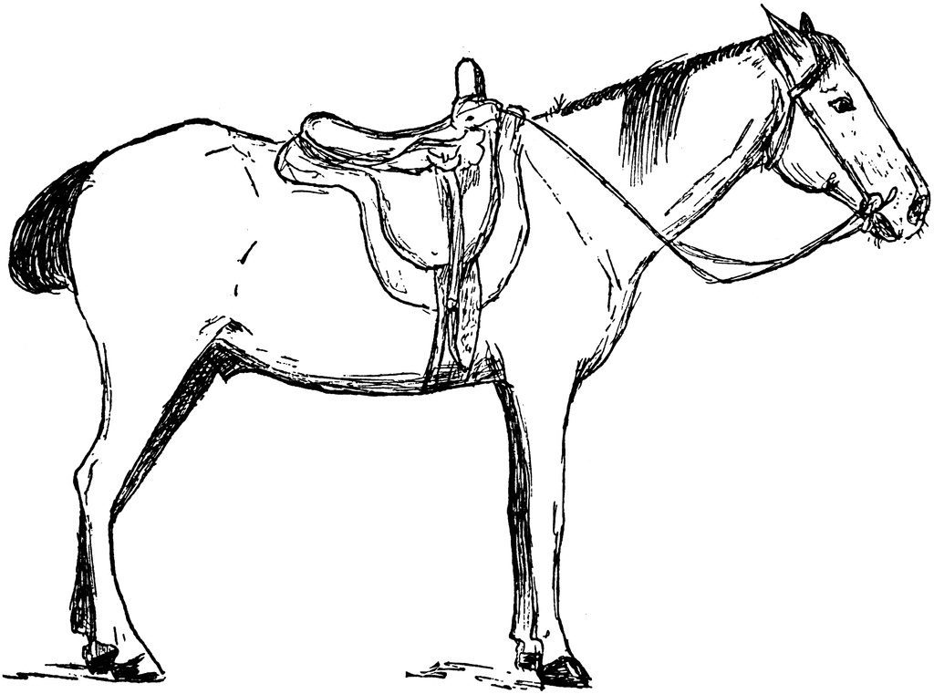 horse coloring pages saddled