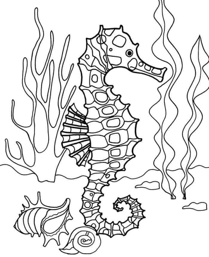 horse coloring pages sea