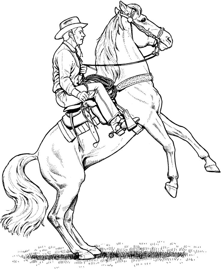 horse coloring pages standing