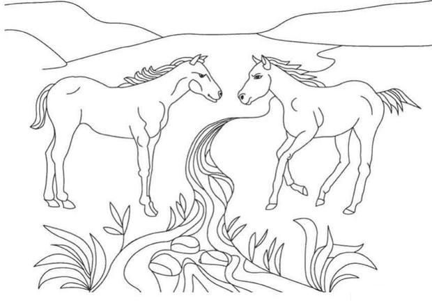 horse coloring pages that look real with two horses
