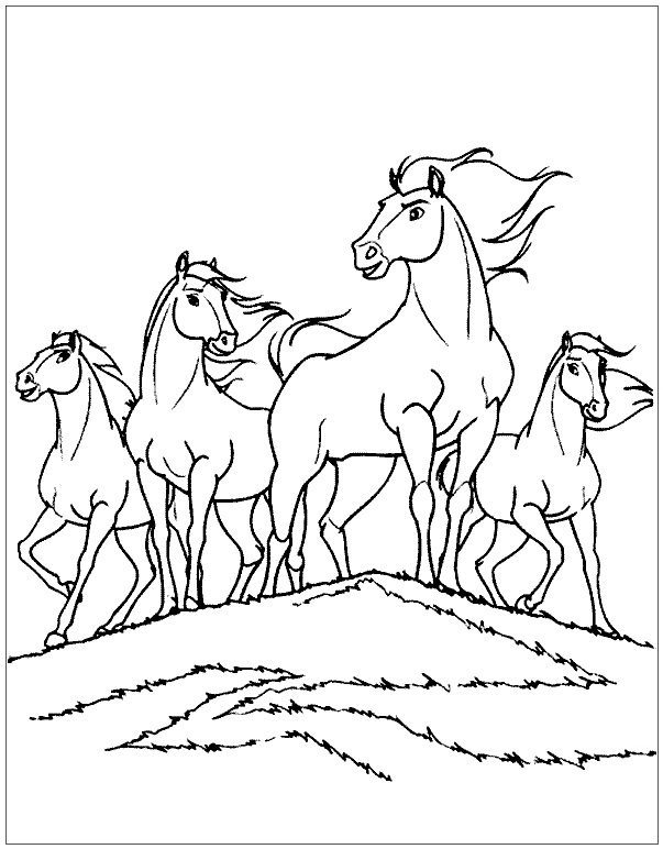 horse coloring pages to color online free on the computer