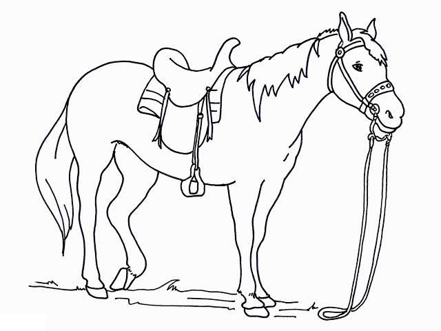 horse coloring pages to print