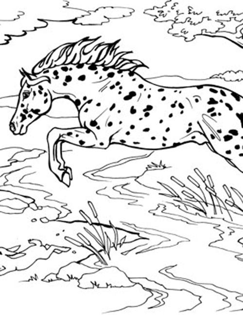 horse coloring pages wild running realistic