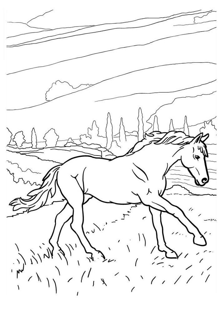 horse coloring pages with backround