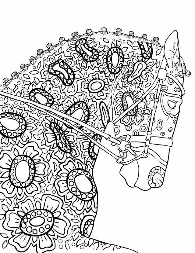 Horse Coloring Pages with Lots of Design