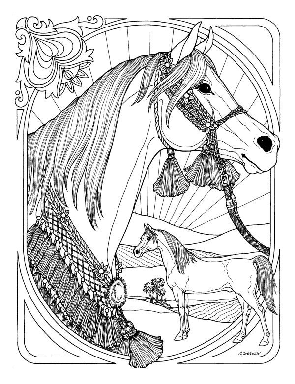 horse coloring pages with spit and loche