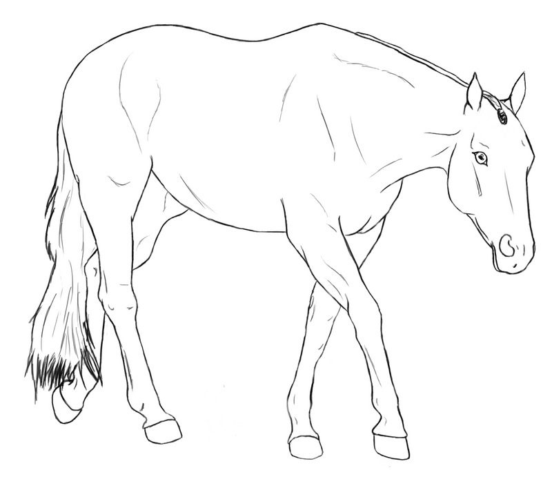 horse coloring pages without hair