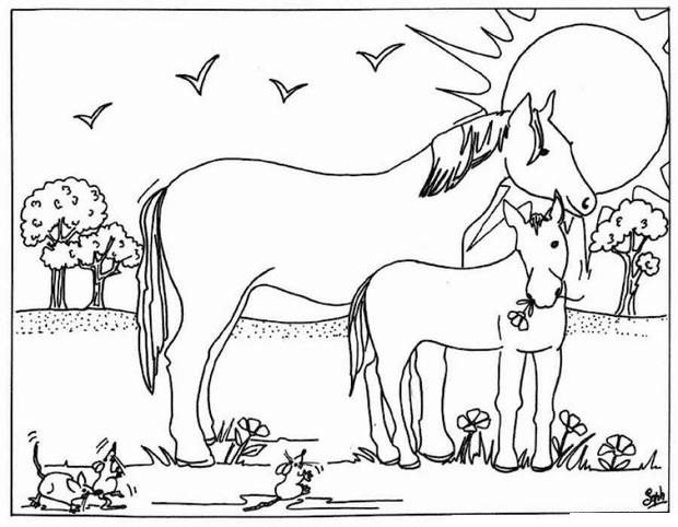 horse drawings coloring pages mare and foal