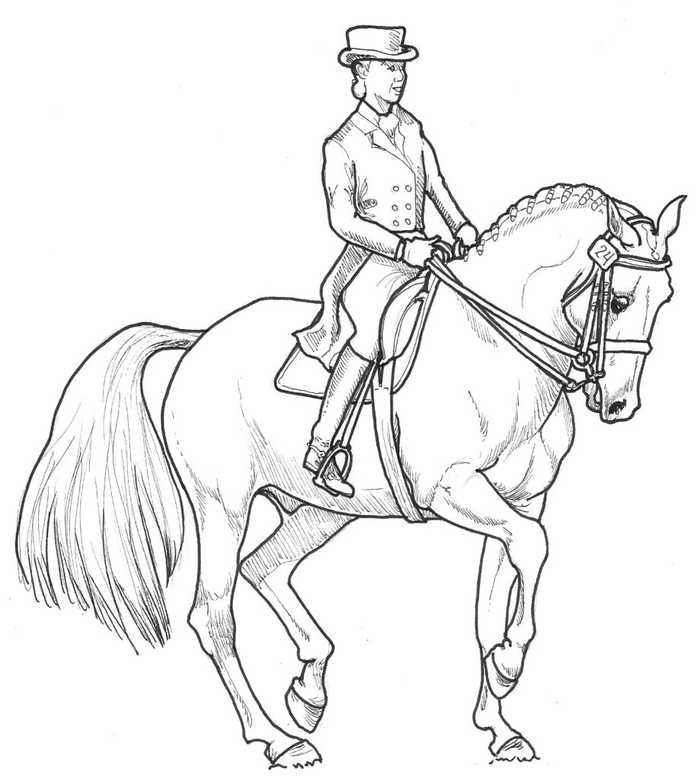 horse dressage coloring pages