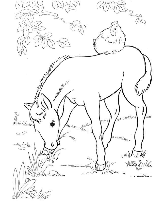 horse eating food them coloring pages
