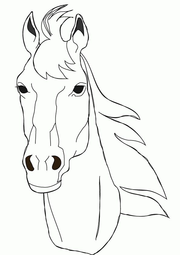 horse face coloring pages