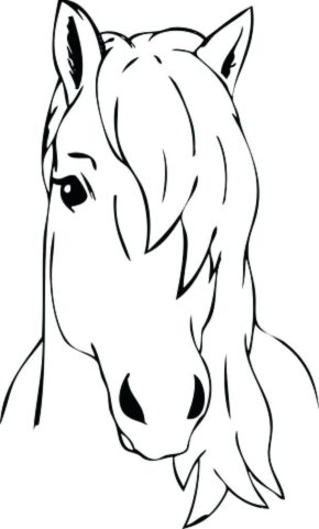 Horse Head Coloring Pages & coloring book. 6000+ coloring pages.