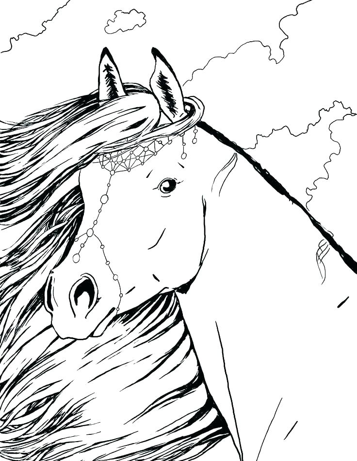 horse head coloring pages realistic