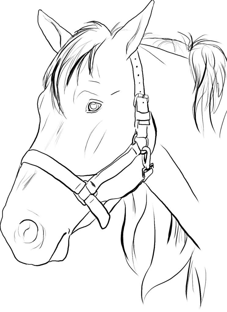 horse heads coloring pages