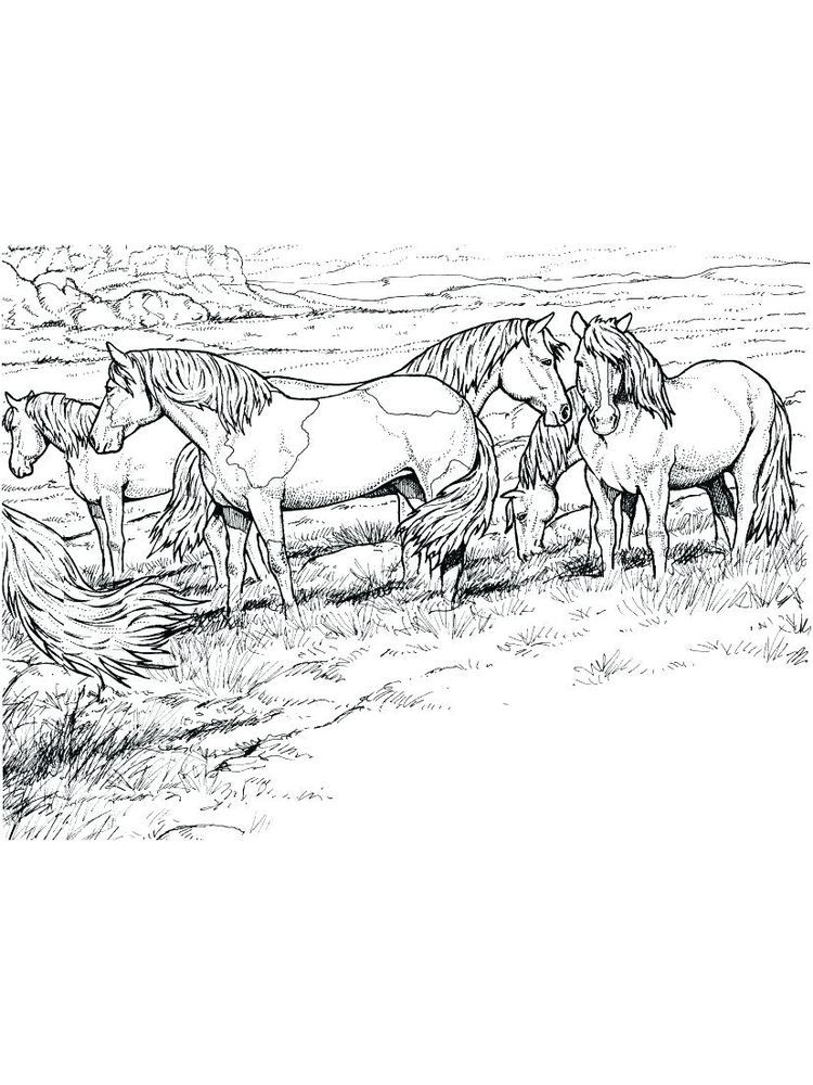 horse heard coloring pages