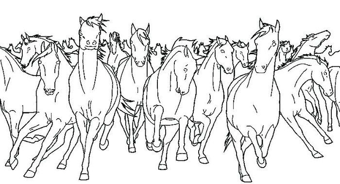 horse herd coloring pages