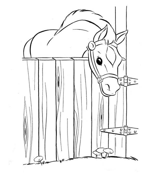 horse in stable coloring pages