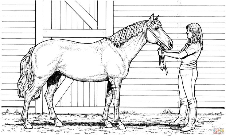 horse in stall no riding coloring pages