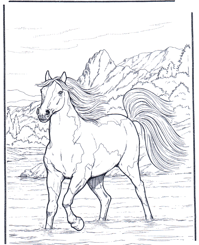 horse in water coloring pages