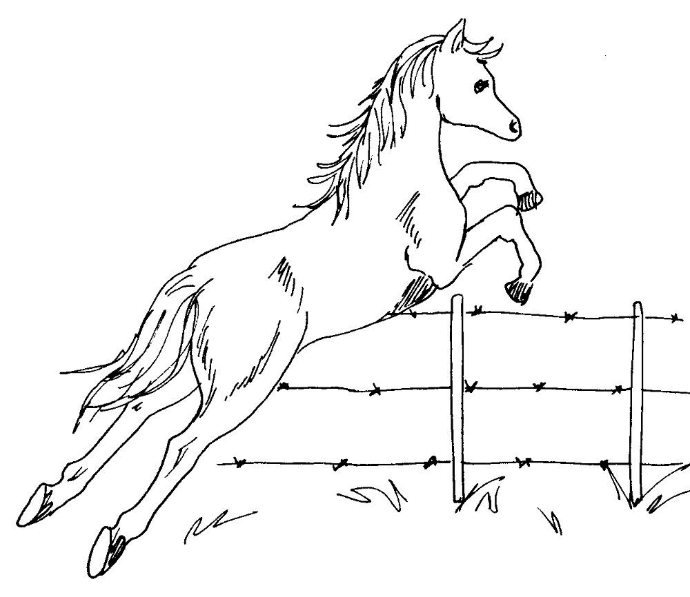 horse jumping fence coloring pages