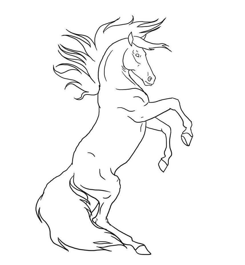 horse mustang coloring pages rearing