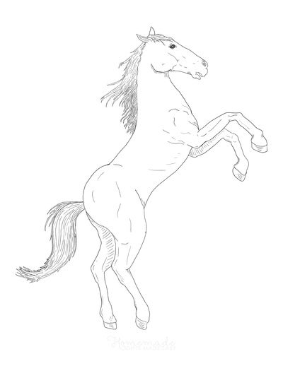 horse rearing coloring pages