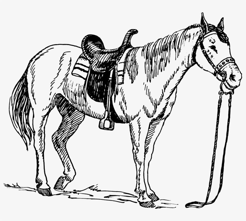 horse saddle coloring pages