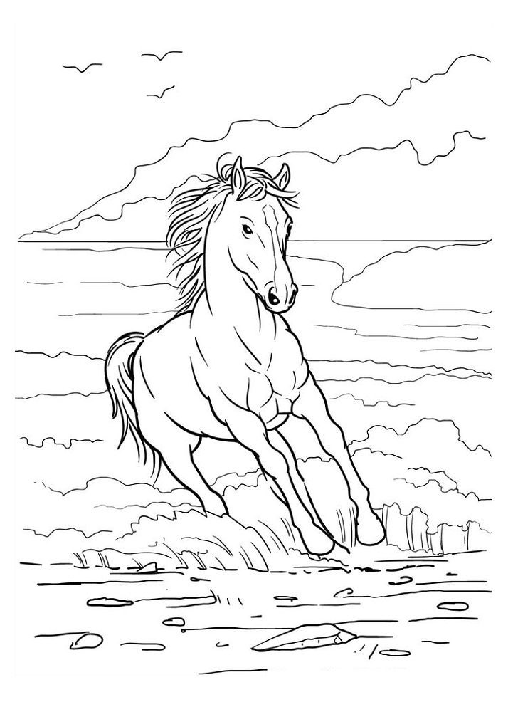 horse splashing coloring pages
