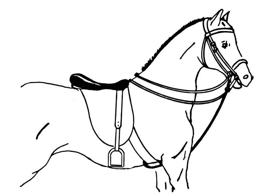 horse with a halter coloring pages