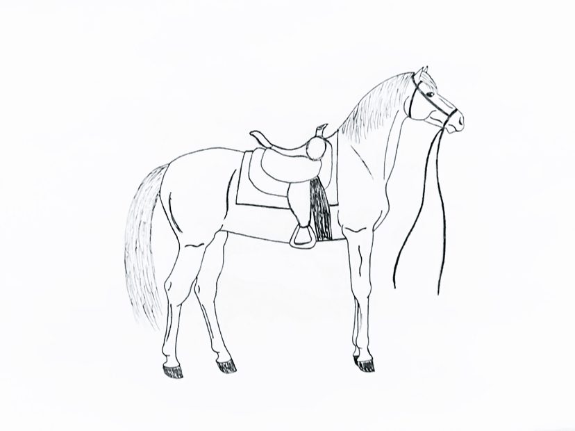 horse with saddle coloring pages