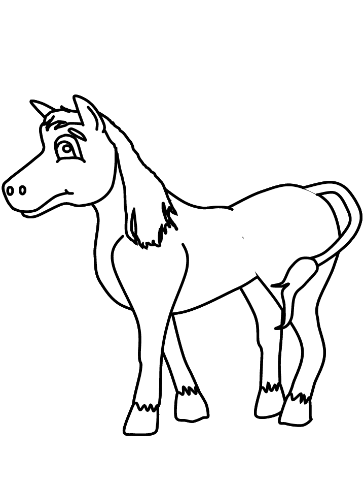 Animal Coloring Pages Horse