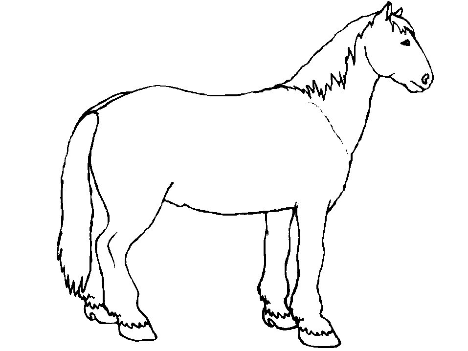 Horse Only Coloring Pages