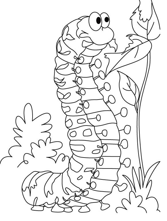 Hungry Caterpillar coloring page