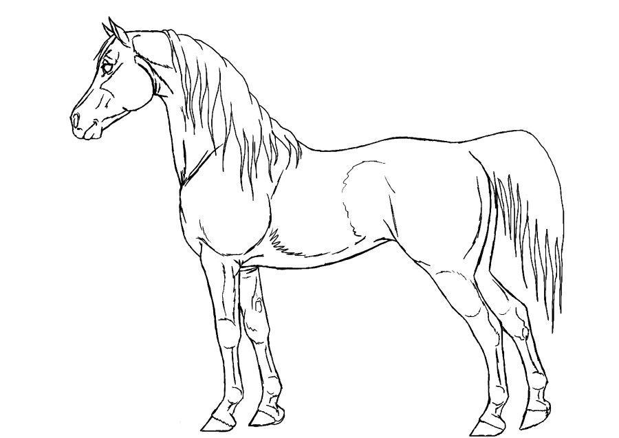 Hushpuppyy Lambchop and Charlie Horse Coloring Pages
