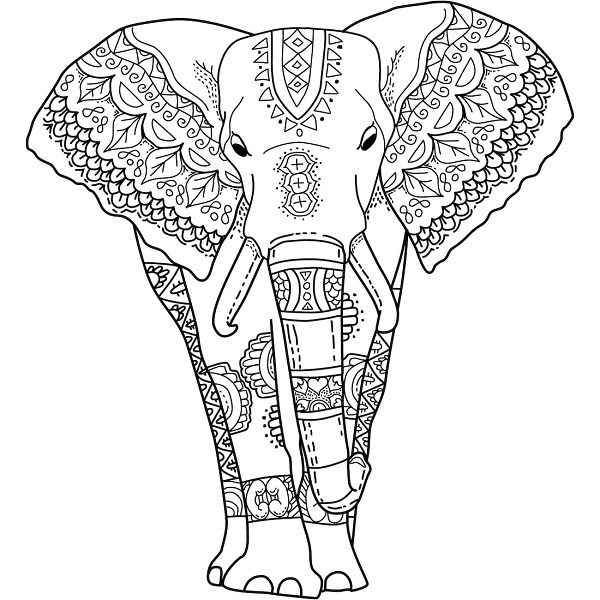 Indian Elephant Coloring Pages