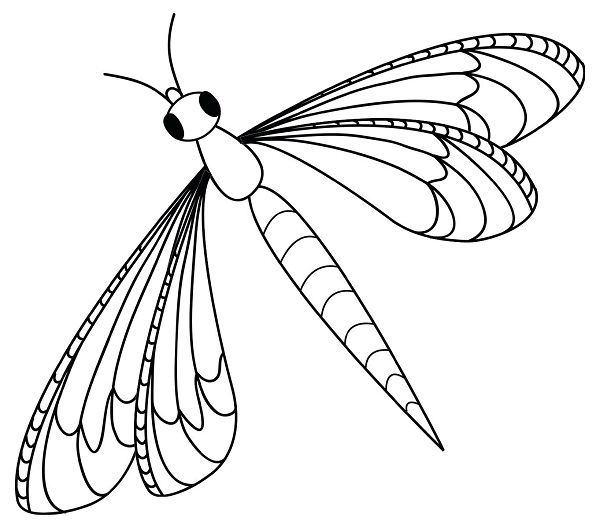 Insect Coloring Page