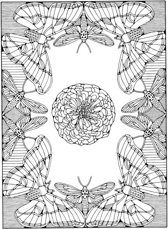 Insect Coloring Pages for Adults