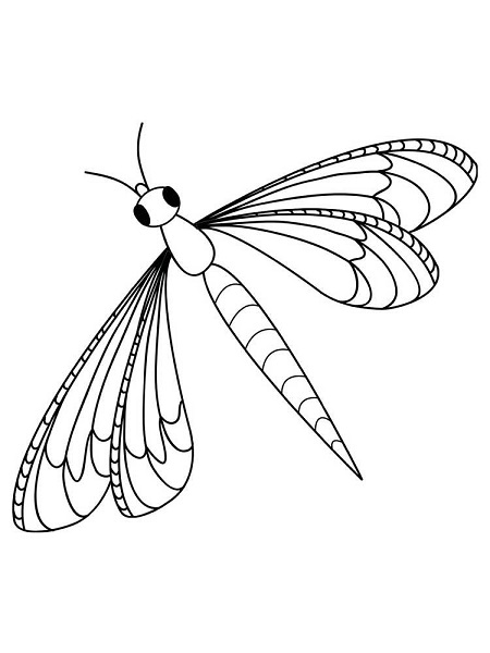 Insect Coloring Pages Free