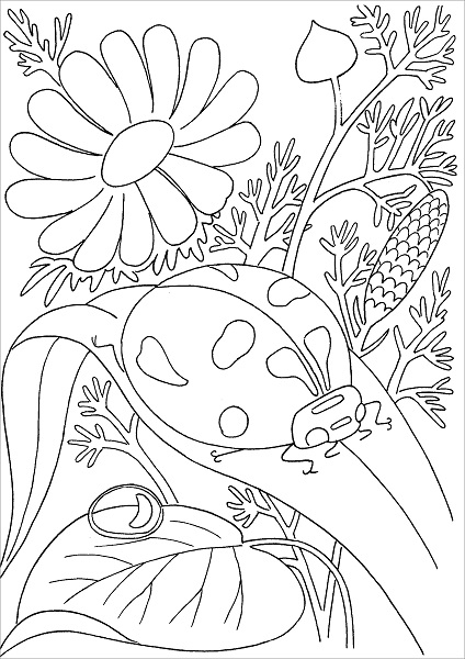 Insect Coloring Pages Pdf