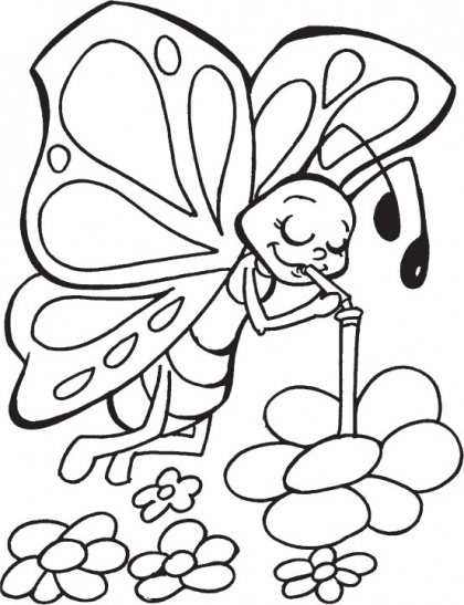 Insect Coloring Pages to Print