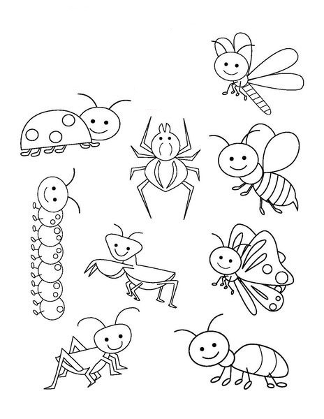 Insects and Bugs Coloring Pages