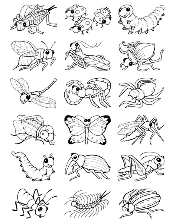 Insects Coloring Page