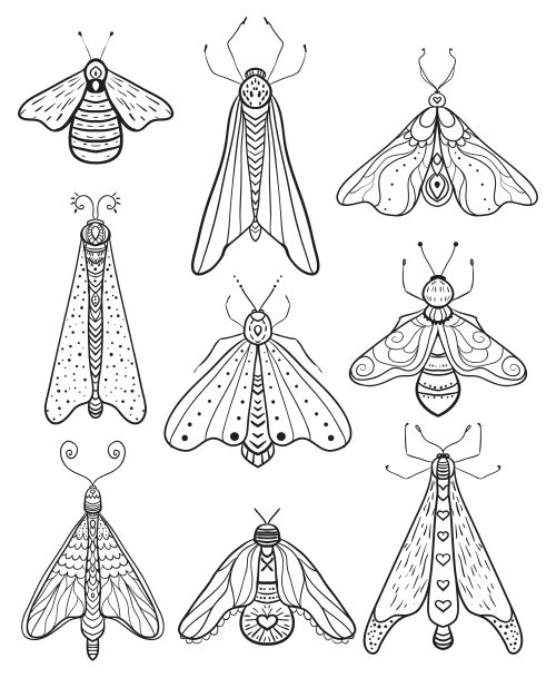 Insects Printable Coloring Pages