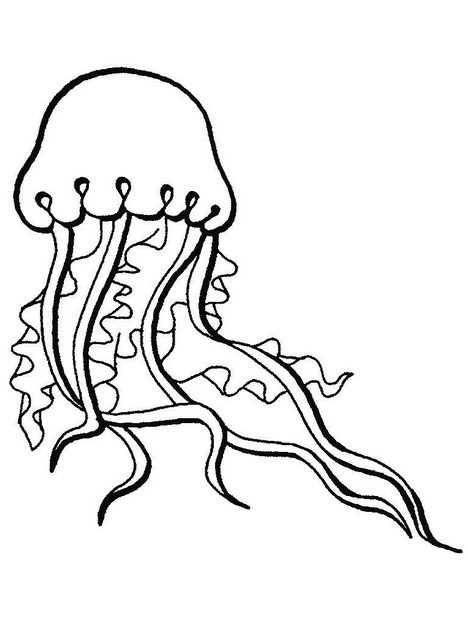 Jellyfish coloring page