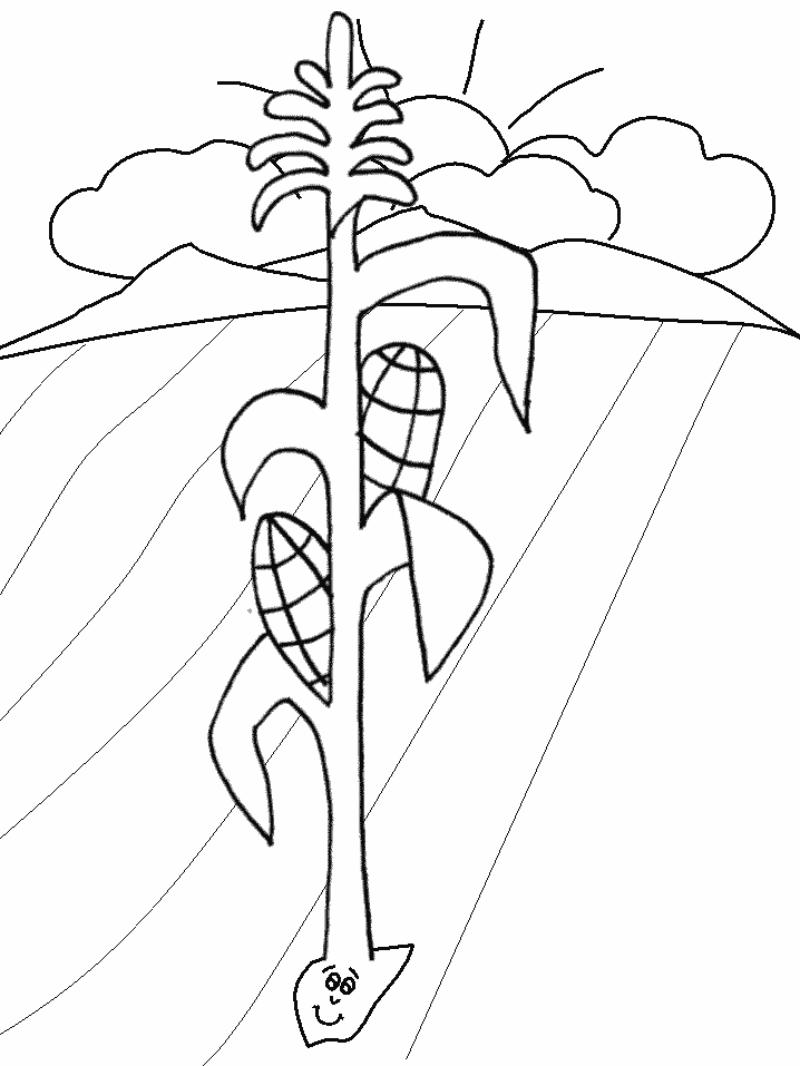 Parable Sower Bible Coloring Pages Free